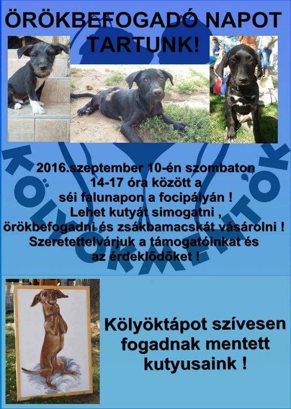 14232642_1157755390947572_596355995269941606_n