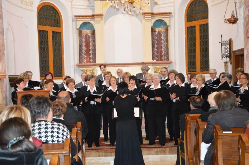 12342636_151765088515326_3977425629517961432_n